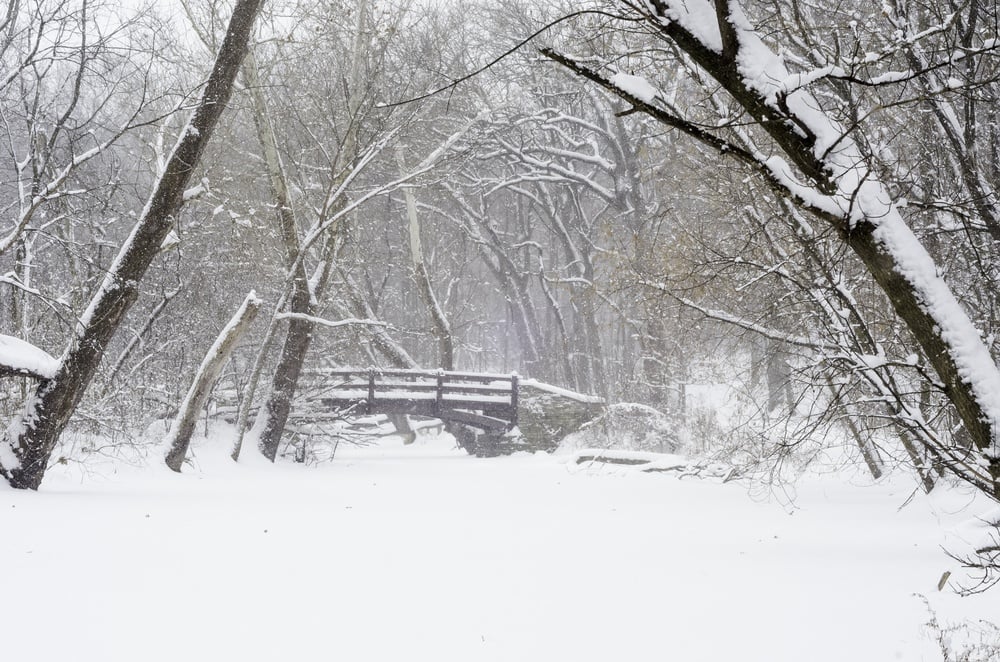 Wintry woods whiteout Footbridge over stream covered with snow during a winter storm in northern Illinois, USA